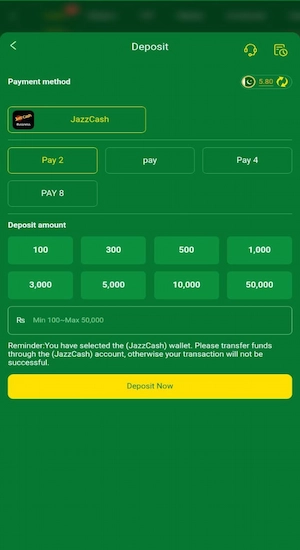 399 Bet Game Deposits