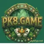 PK8 Game Logo